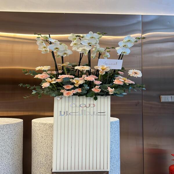 5c6eeec1_Long summer.jpg